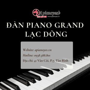 Đàn Piano Grand Lạc Dòng