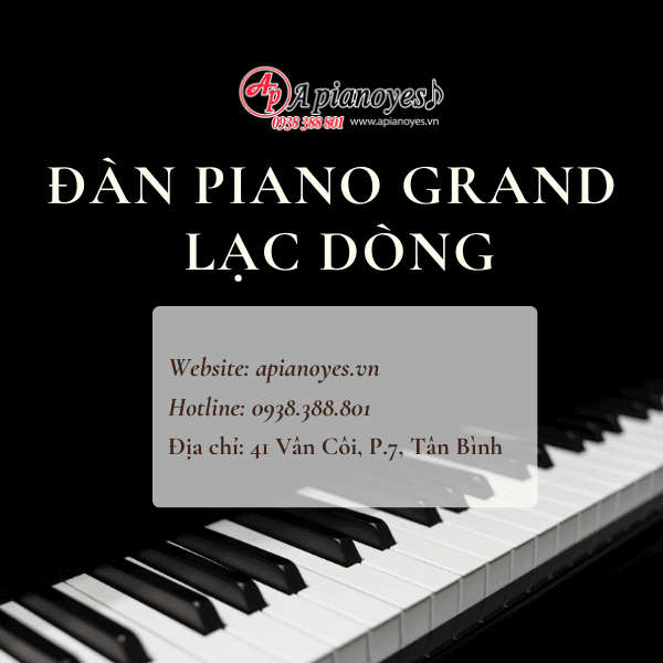 Đàn Piano Grand Lạc Dòng