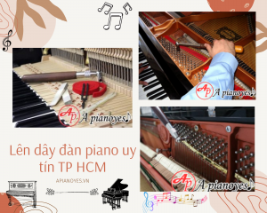 Lên Dây đàn Piano Uy Tín TP HCM