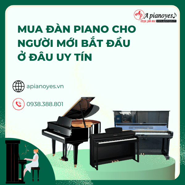 Mua đàn Piano Cho Người Mới Bắt đầu (1)