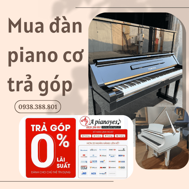 Mua đàn Piano Cơ Trả Góp