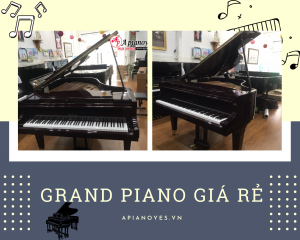 Grand piano giá rẻ
