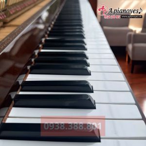 ĐÀN PIANO KAWAI CE7