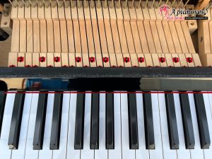 Đàn piano KAWAI DS-60