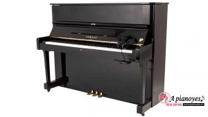 silent piano