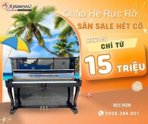 Chào hè rực rỡ - Săn sale hết cỡ