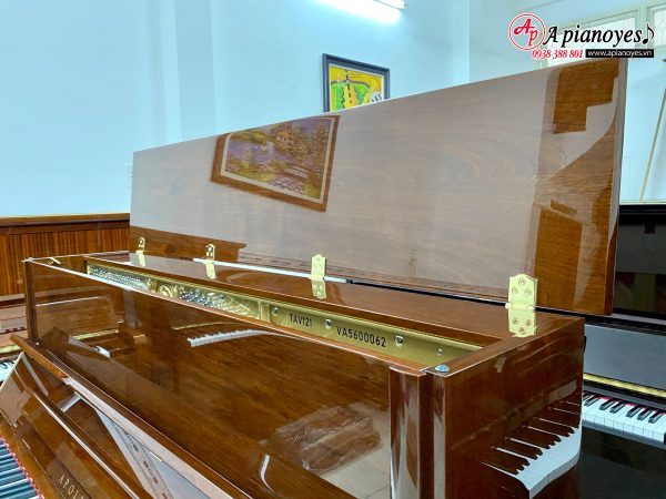 Đàn piano APOLLO TAV121
