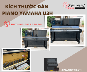 Kích Thước đàn Piano Yamaha U3h