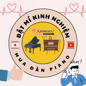 Kinh Nghiệm Mua đàn piano