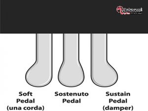 Pedals