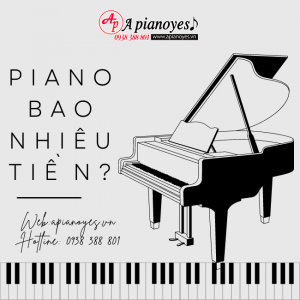 Piano Bao Nhiêu Tiền