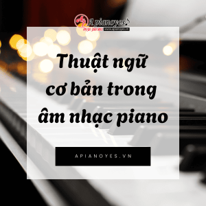 Thuật Ngữ Cơ Bản Trong âm Nhạc Piano