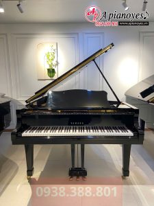 đàn grand piano YAMAHA G5E